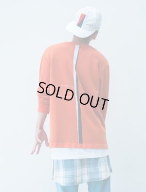 画像9: PHINGERIN JEANS OVER PANTS サックス