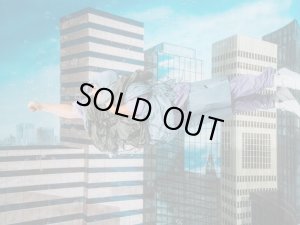 画像9: ROTOL M65 PONCHO PURPLE