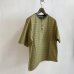 画像1: PWA STRIPED HENRYNECK S/S TEE MOJAVE (1)
