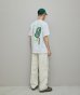 画像4: BAL Tangle Type WHITE (4)