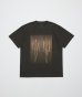画像1: BAL infinity BLACK (1)