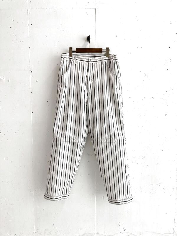 画像1: gentle Division Painter Pants HICKORY (1)